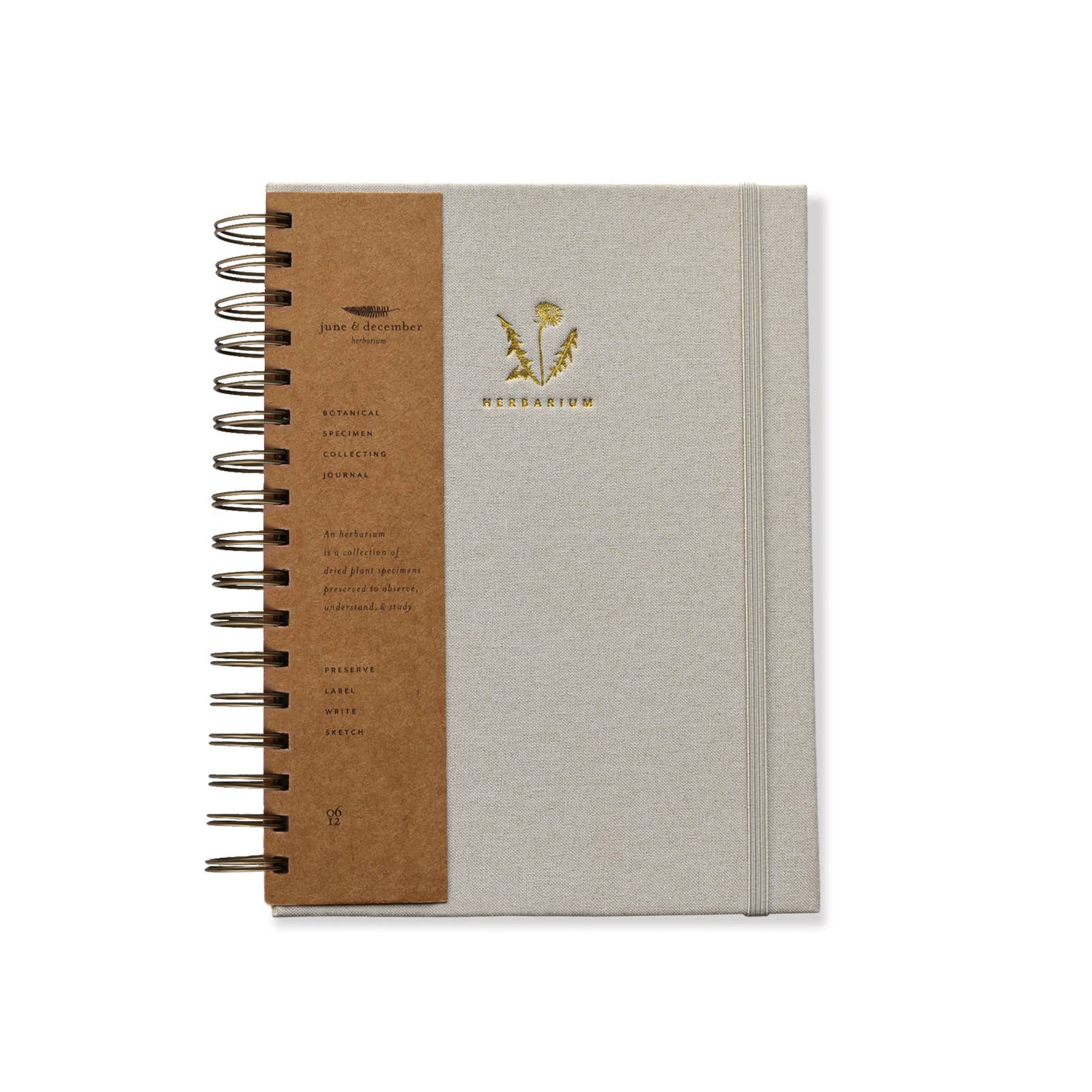 Dandelion Herbarium Journal / Mushroom Gill Cream