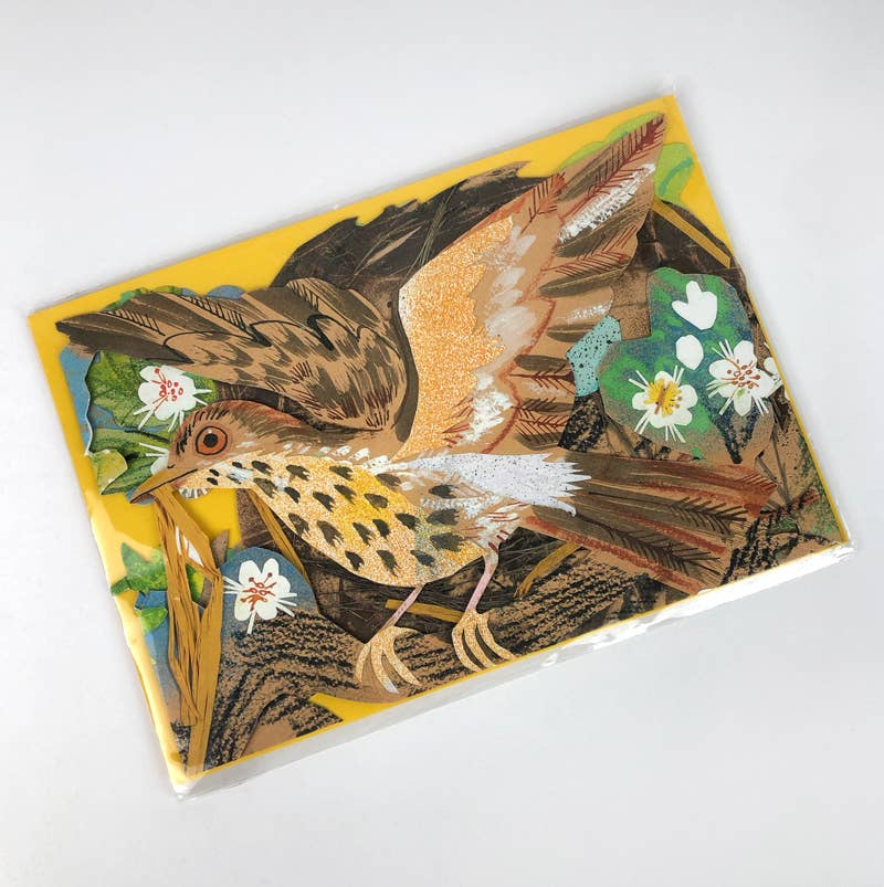 Nest Collage Card - Mark Hearld