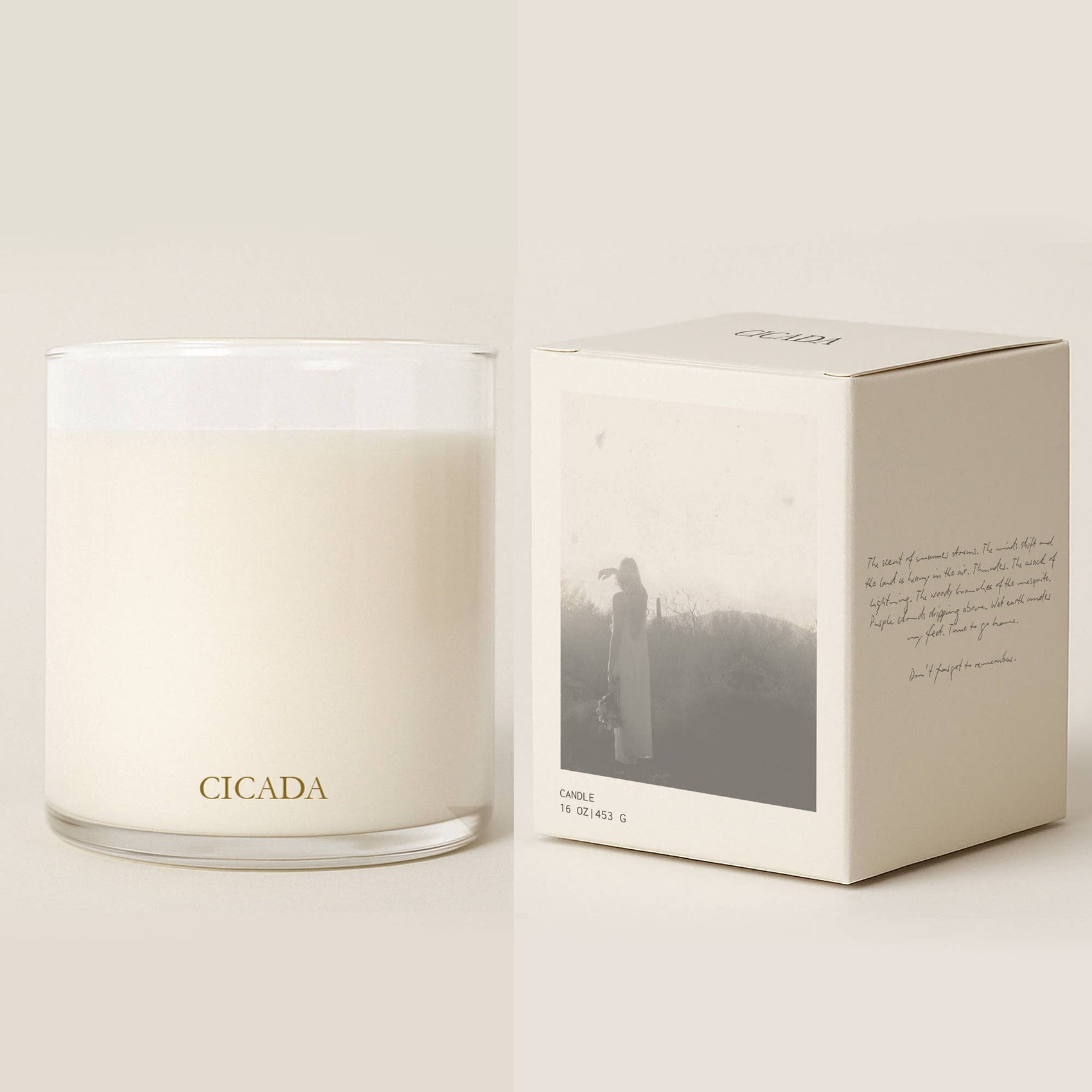 No. 02 Large Candle - Sunshine in the Desert