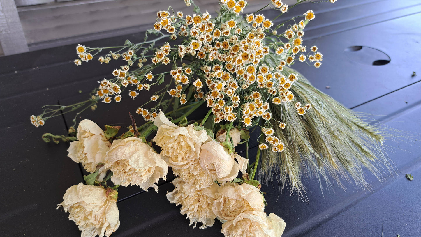 Feverfew, Magic Single