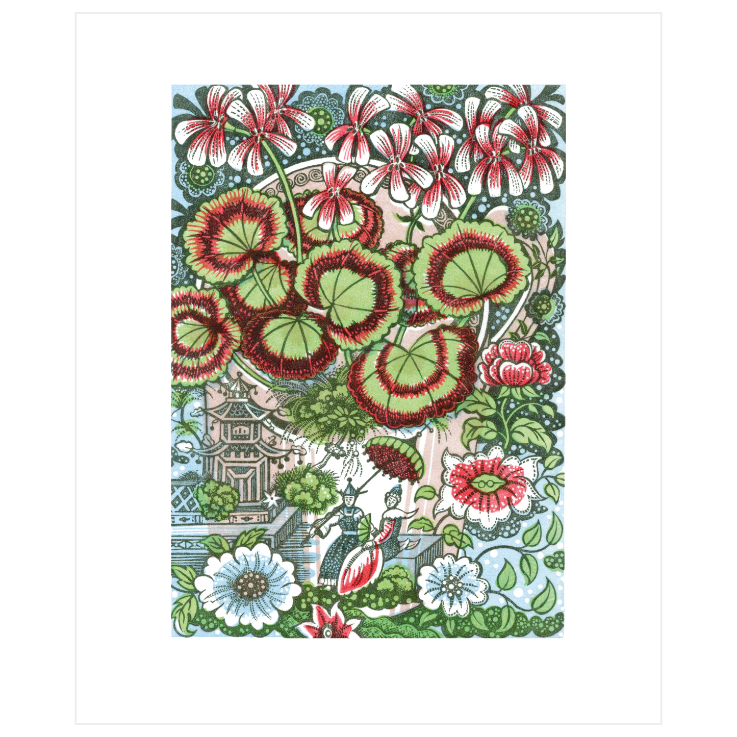 Pelargonium