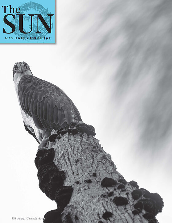 The Sun Magazine