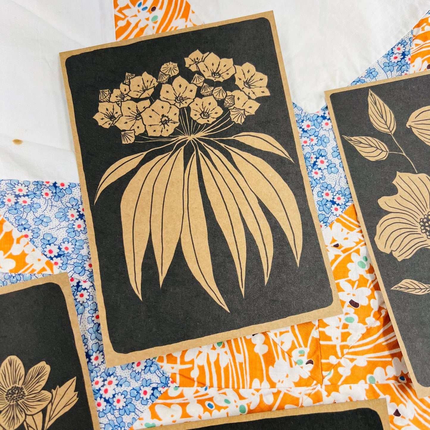 NC Native Plant Pen Pal Cards