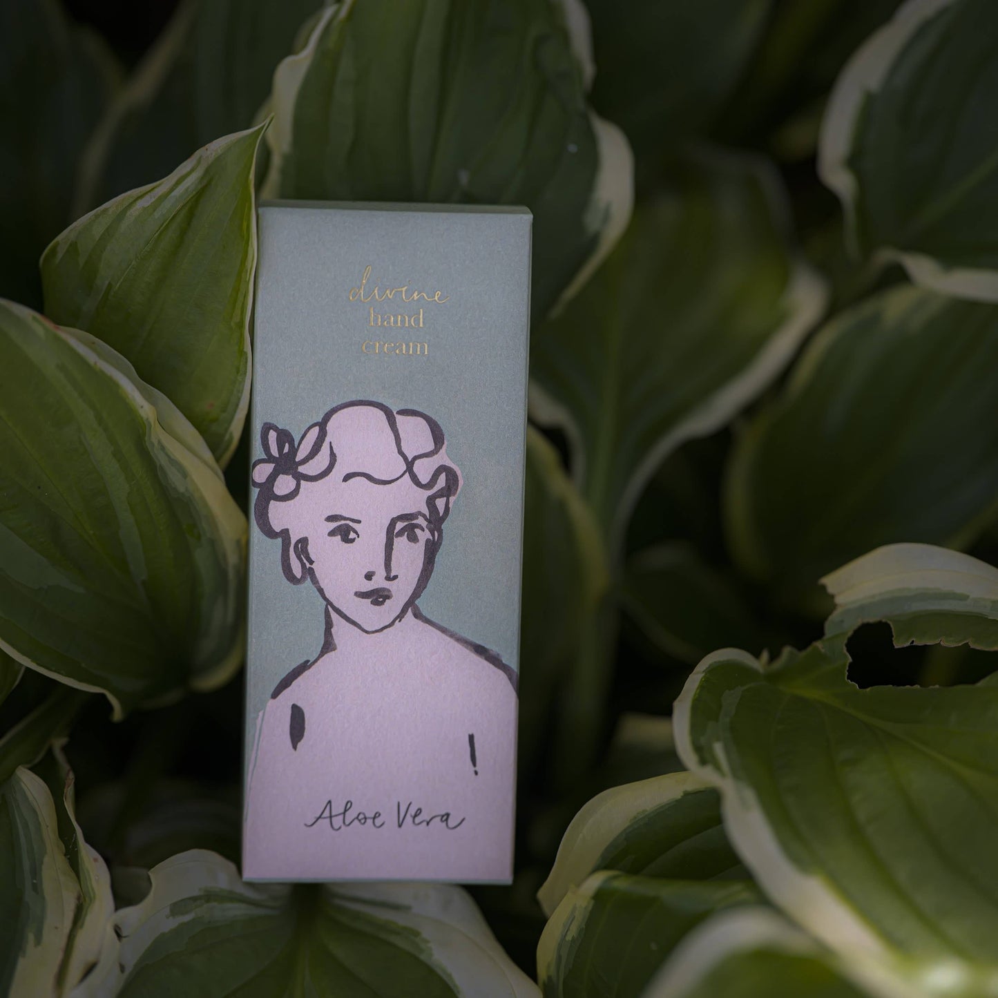 Aloe Vera Divine | Hand Cream