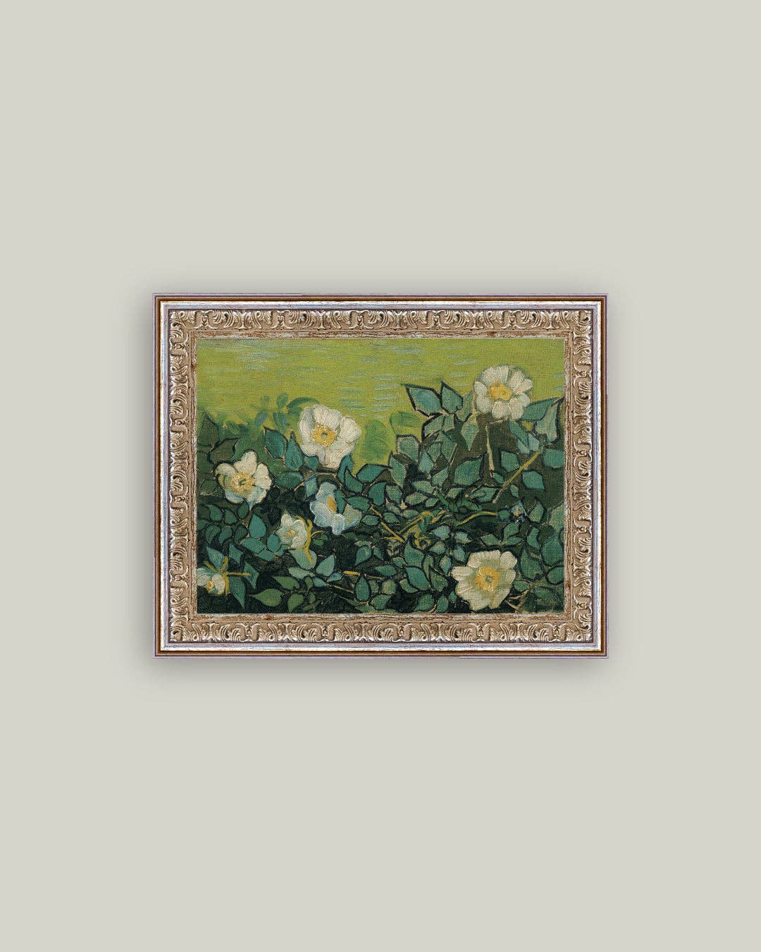 Wild Roses