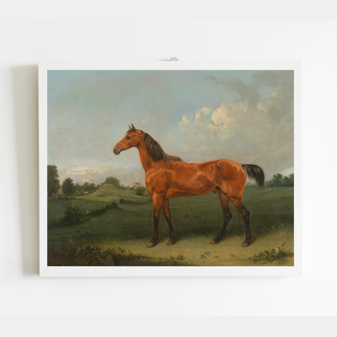 British Bay Horse in a Field Antique Art Print