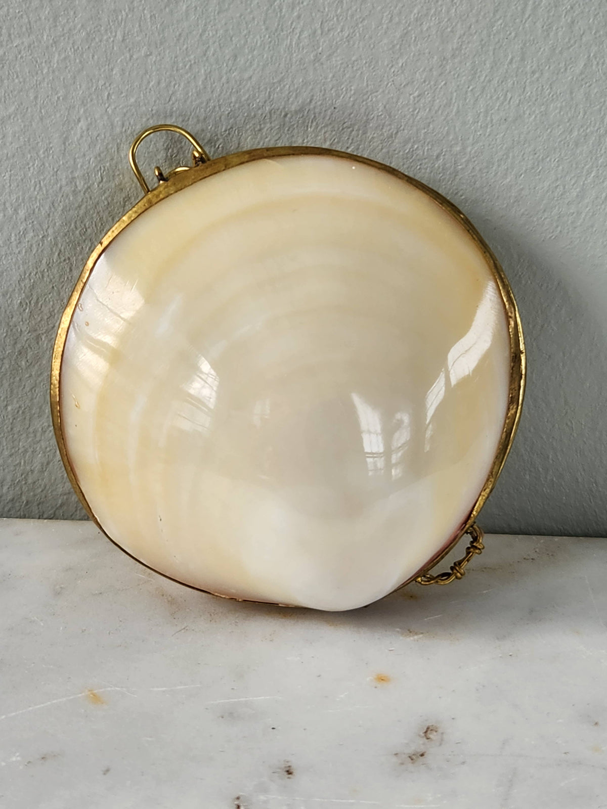 Mini Clam Trinket Pill Box & Coin Purse