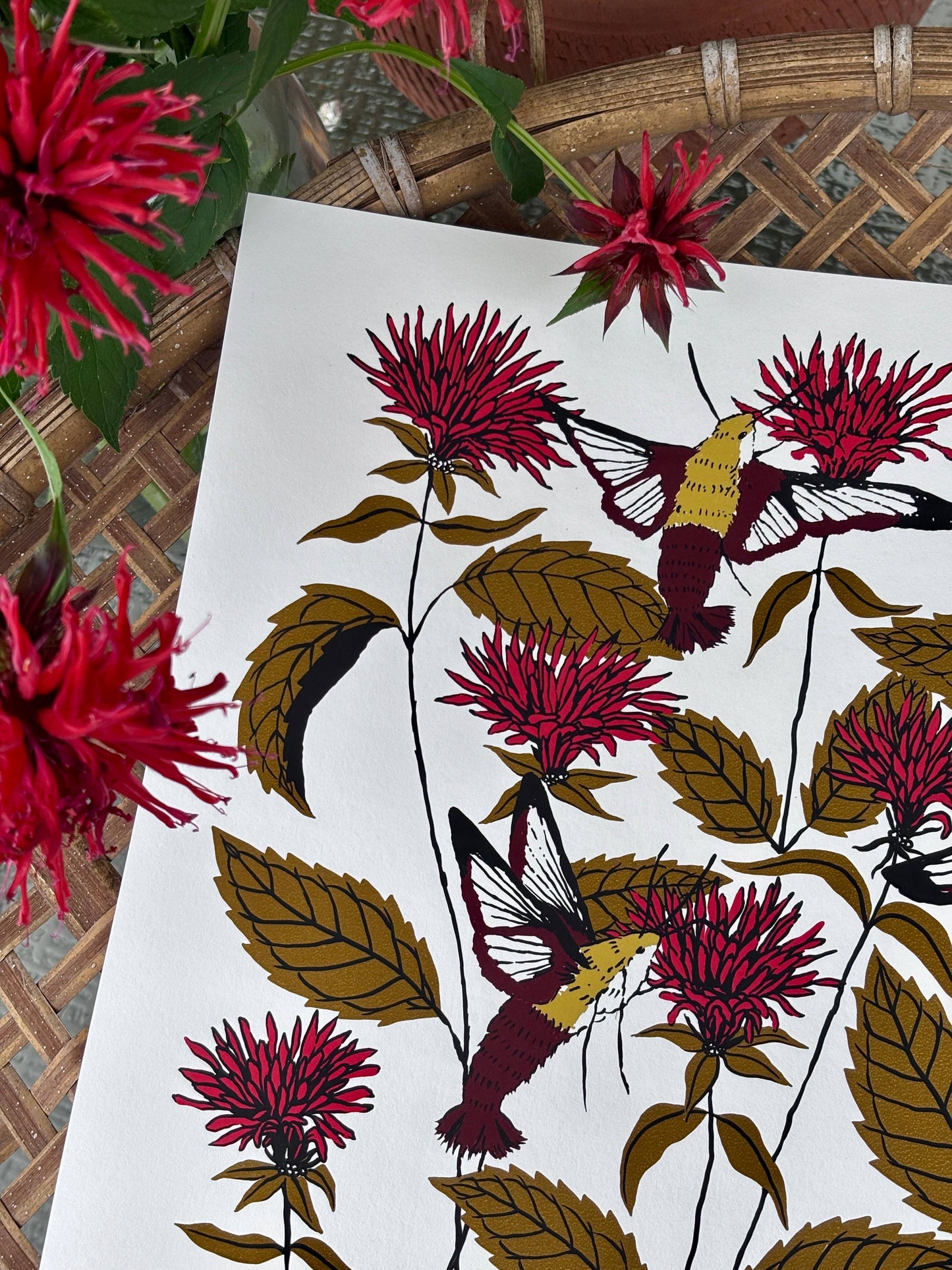 Bee Balm - 14x11 Print