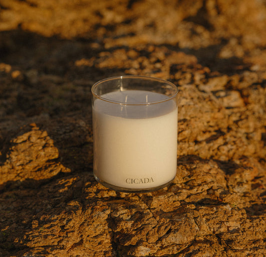 No. 07 Large Candle - Catalina Mountains