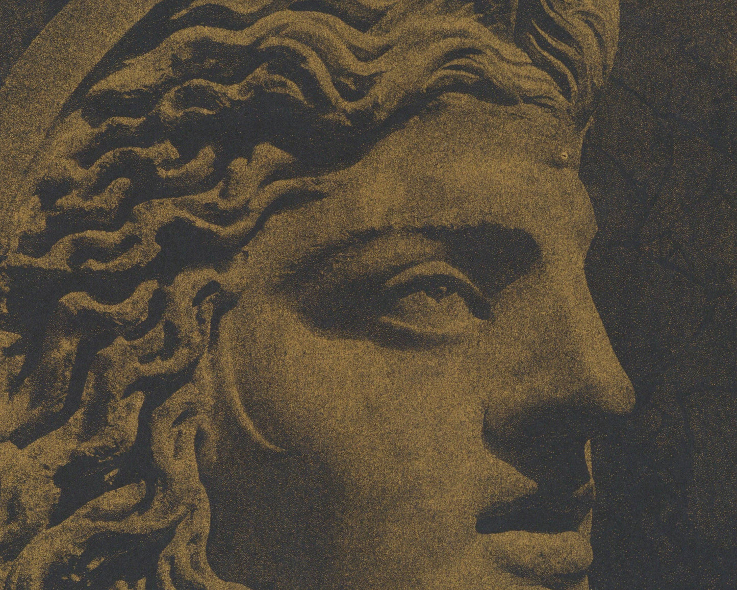 Roman Face - Golden Risograph Print