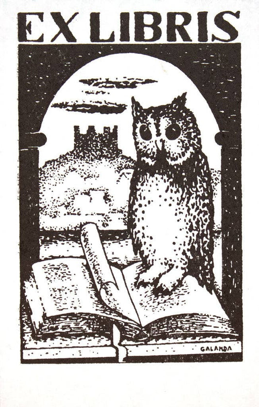 Owl