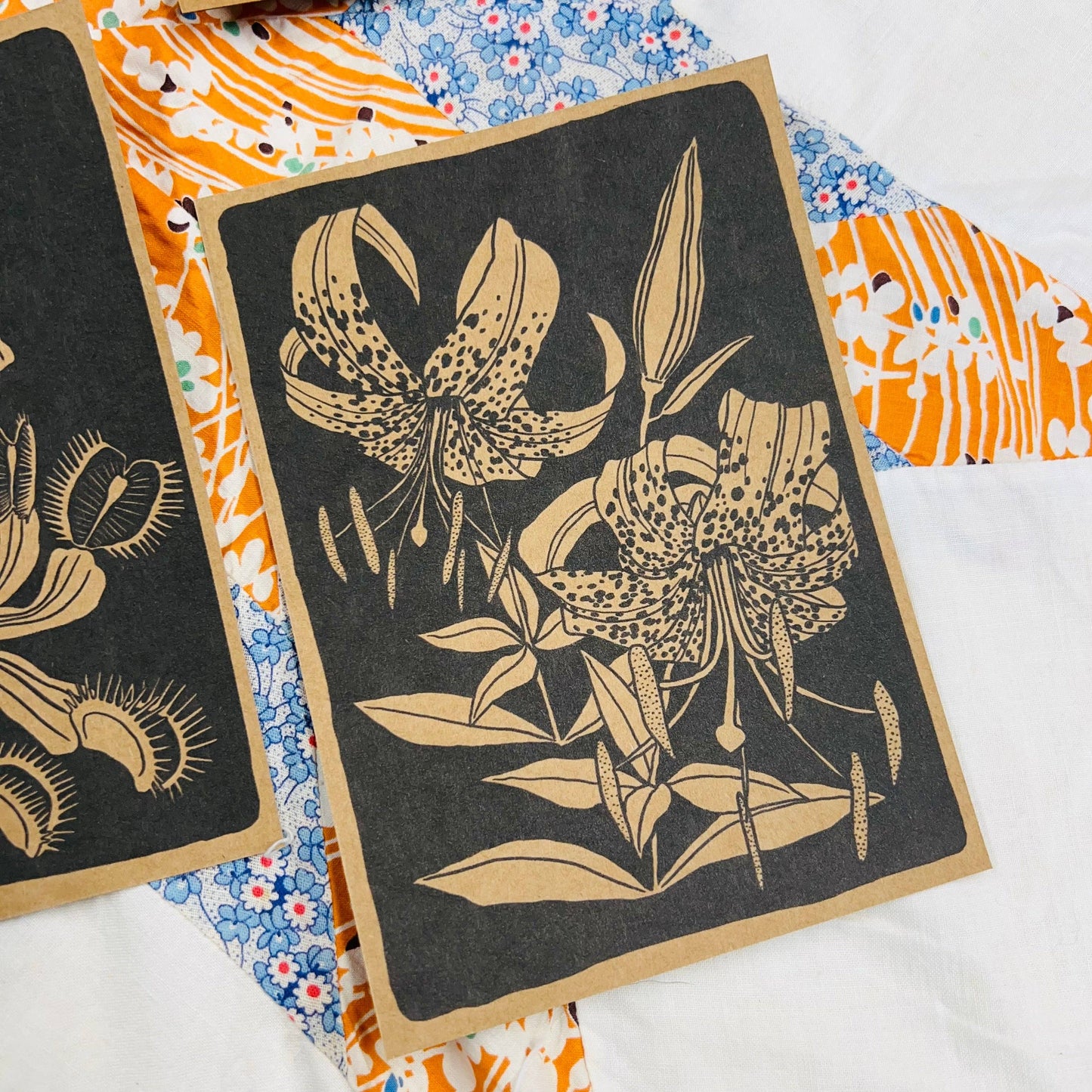 NC Native Plant Pen Pal Cards