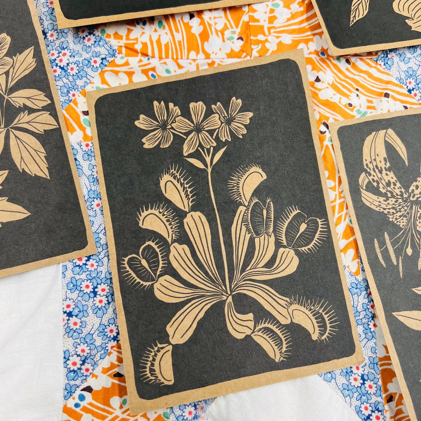 NC Native Plant Pen Pal Cards