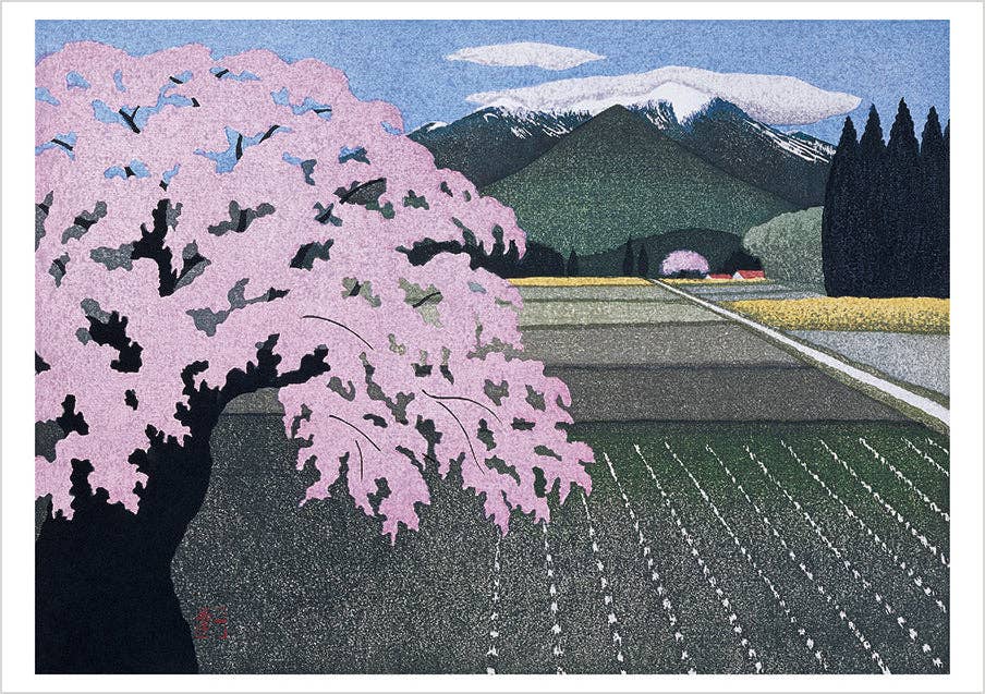 Kazuyuki Ohtsu: Cherry Trees Boxed Notecard Assortment