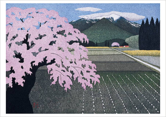 Kazuyuki Ohtsu: Cherry Trees Boxed Notecard Assortment
