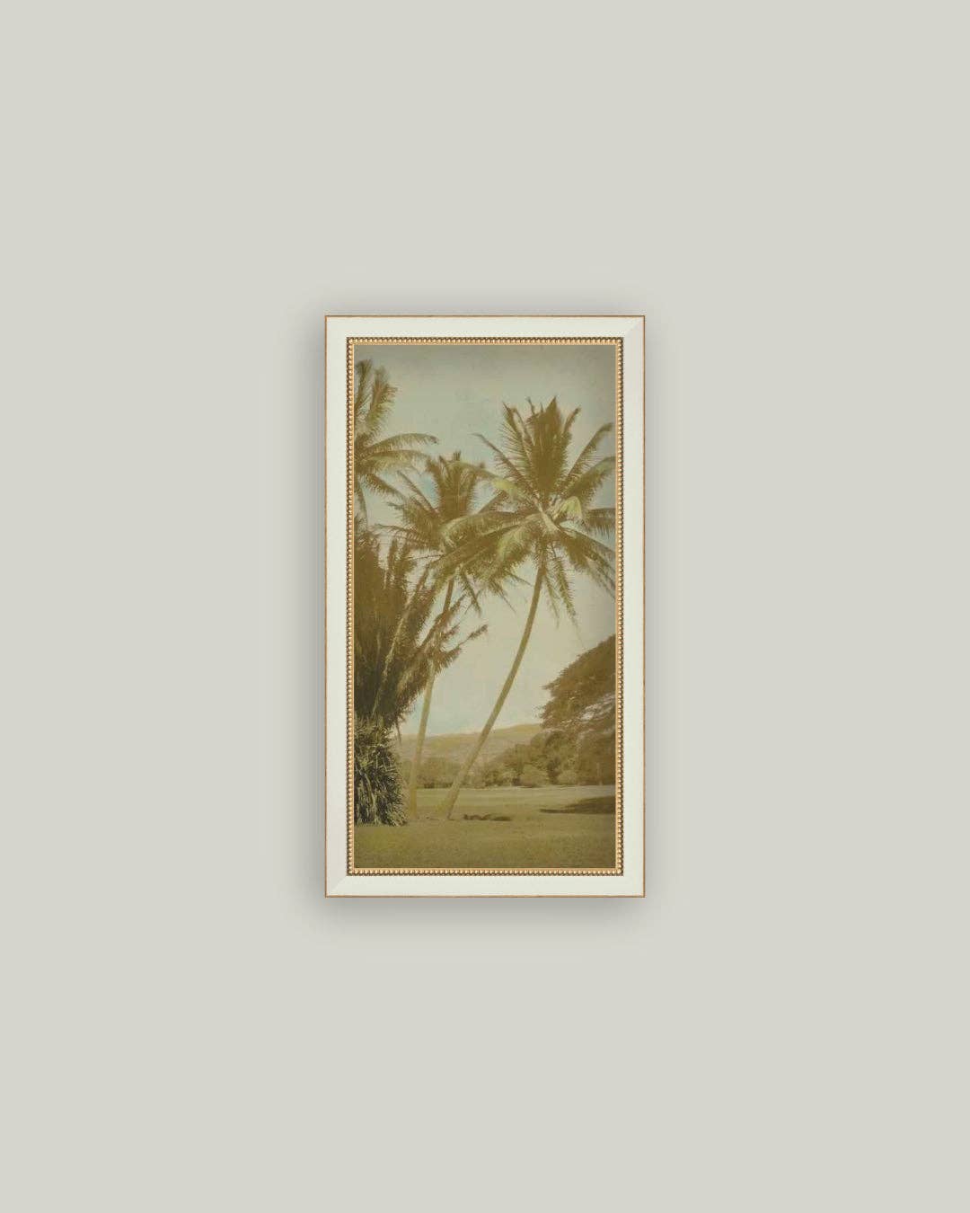 Vintage Palm Tree Photo