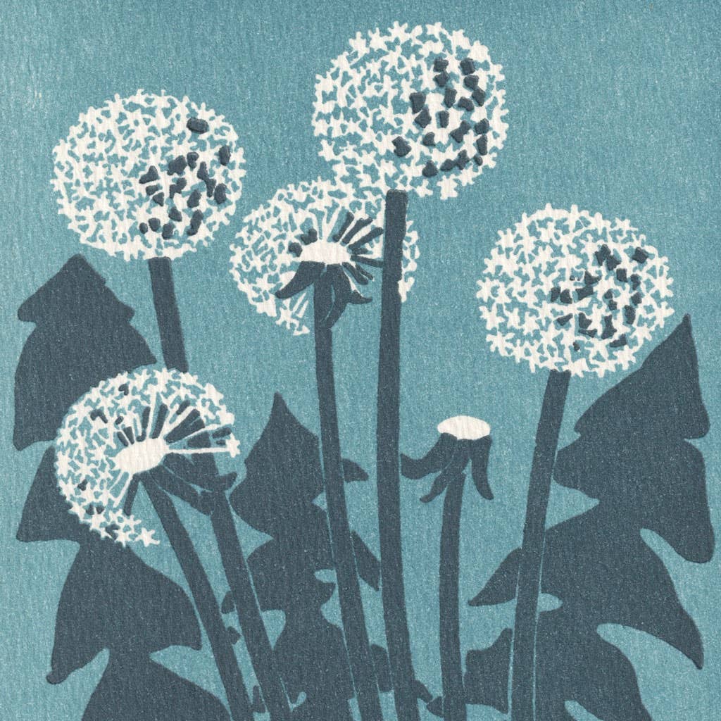 Dandelions