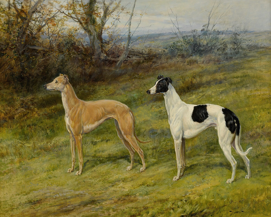 Greyhounds in Wales Antique Art Print