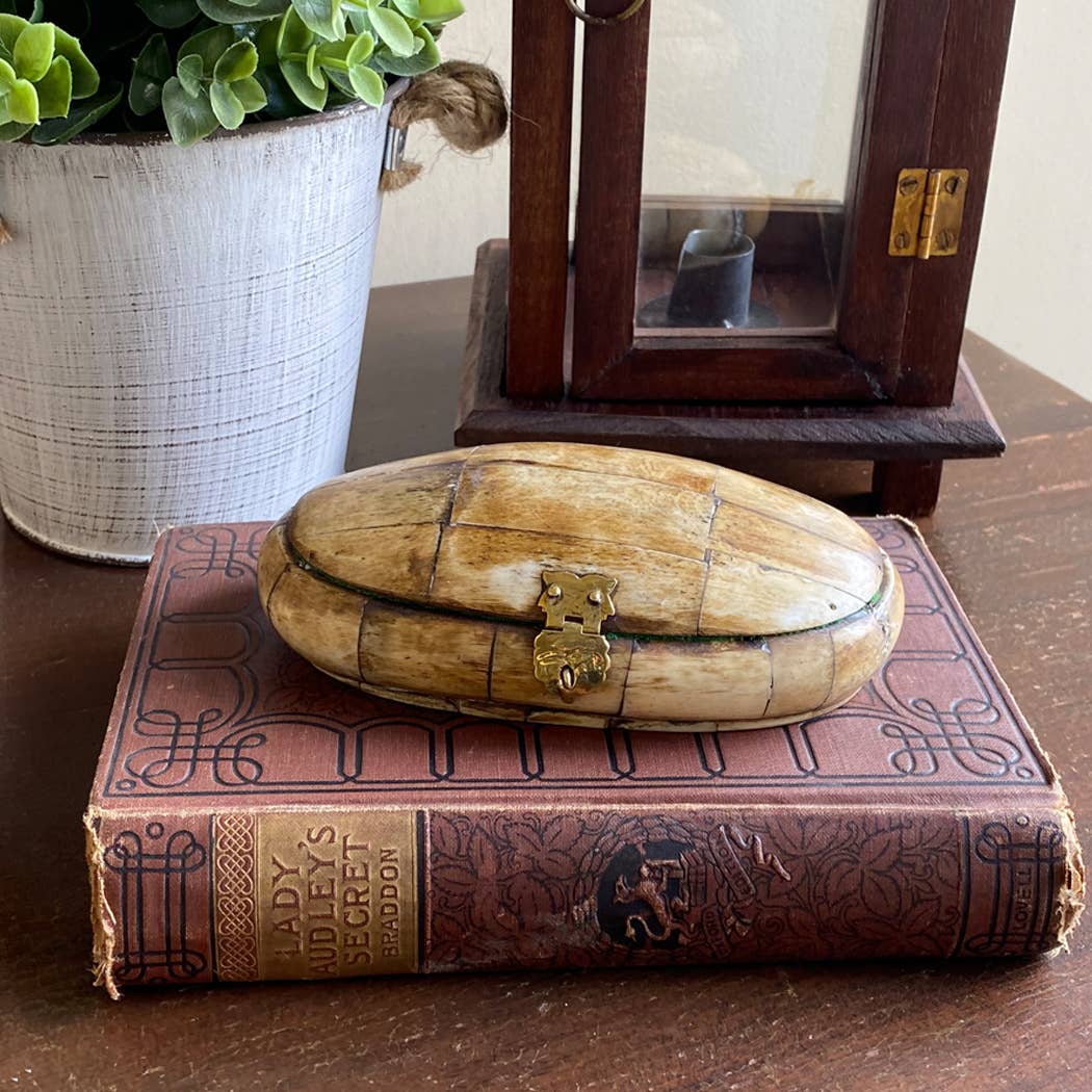 Antiqued Vintage Oval Bone Box | 5-1/2” | Storage box