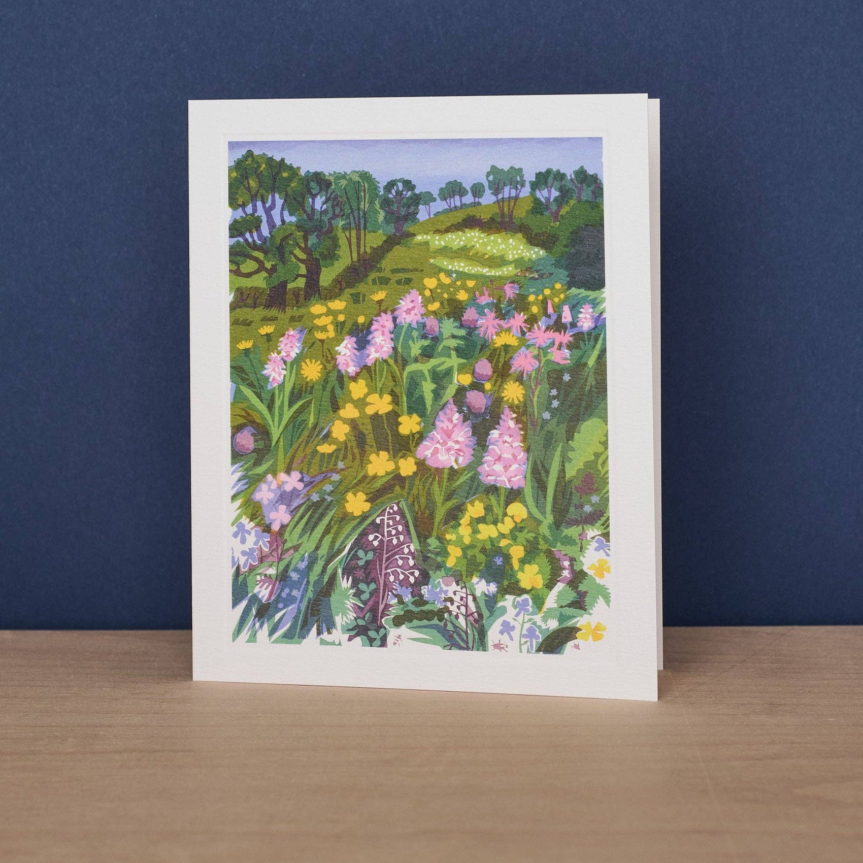 A Rare Meadow