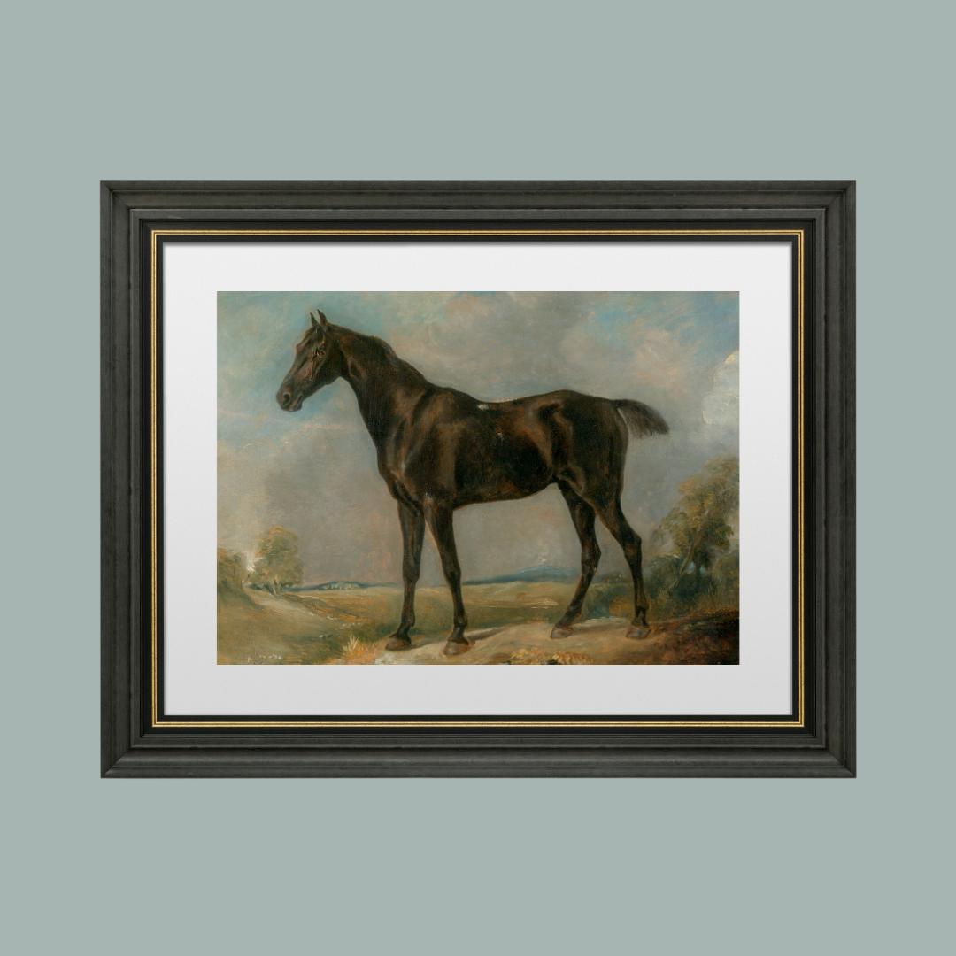 Black Riding Horse Antique Art Print