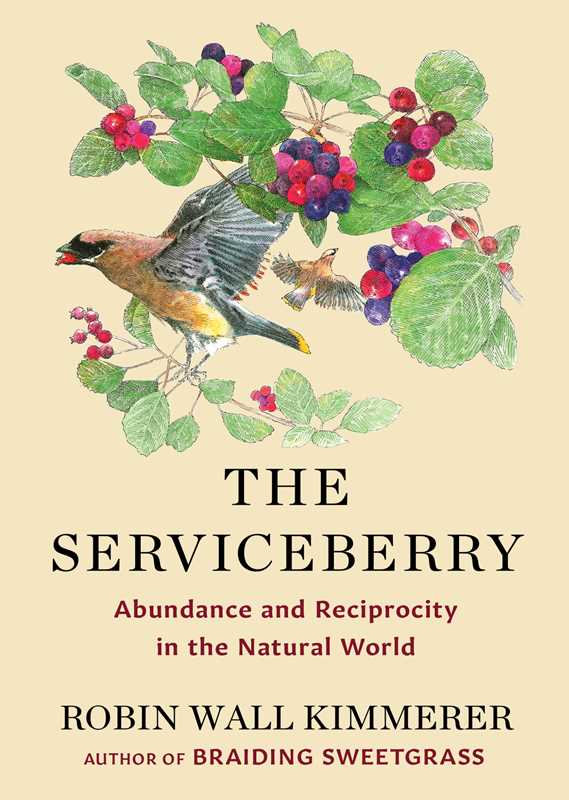 Serviceberry by Robin Wall Kimmerer: Hardcover; 128 pages / English