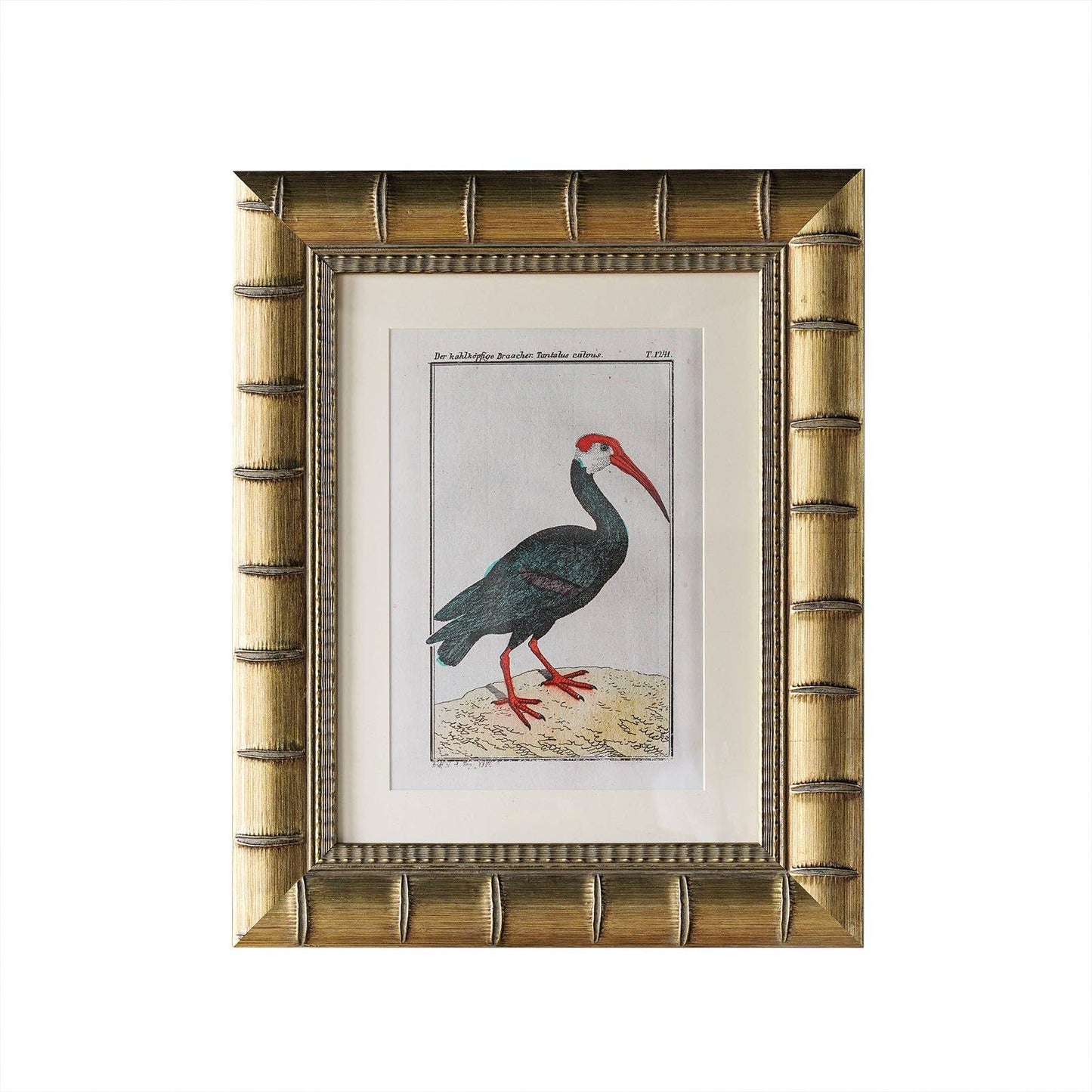 Brixham Matted Frame