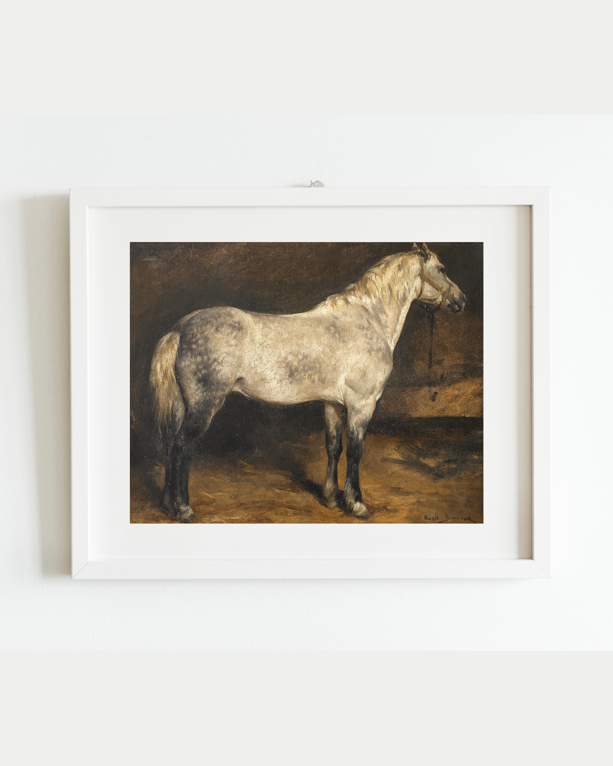 Dapple Grey Horse Antique Art Print