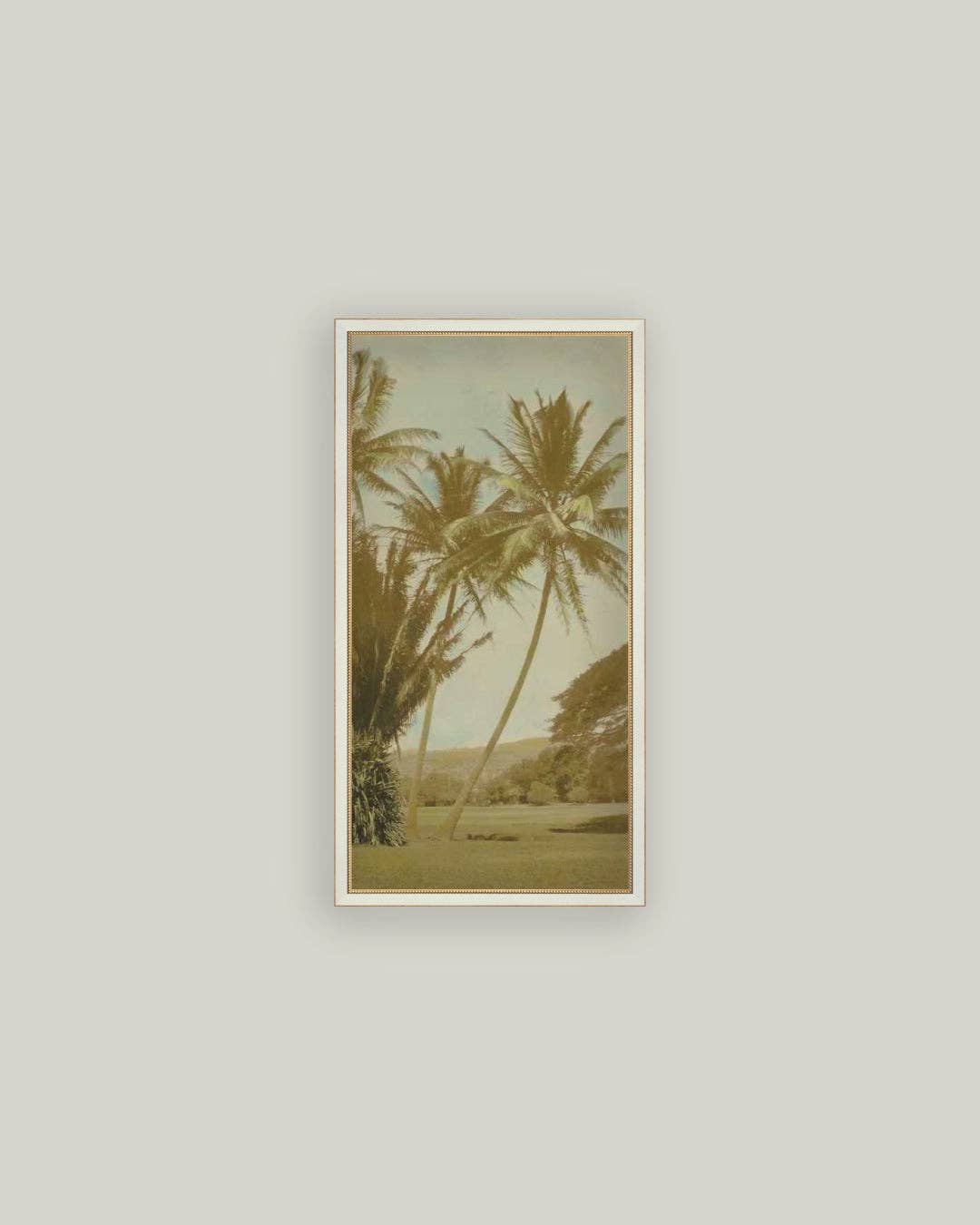 Vintage Palm Tree Photo