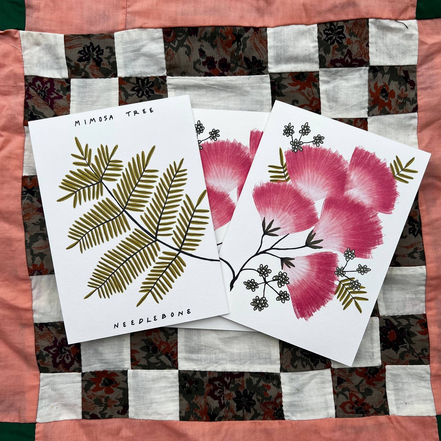 Mimosa - Invasive Pen Pal Cards: Set of 3
