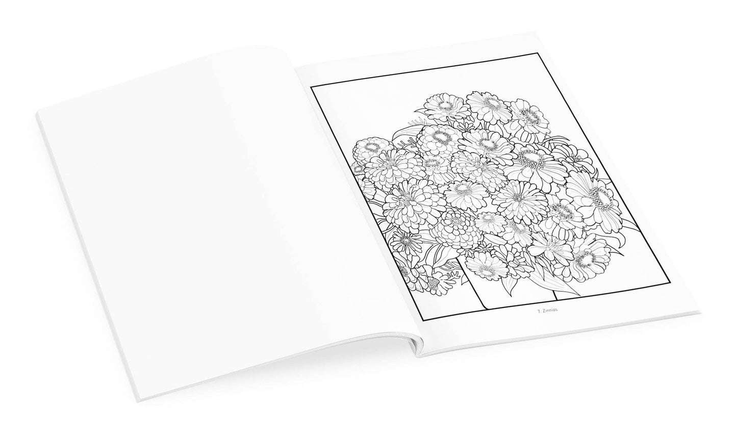 Gustave Baumann Coloring Book