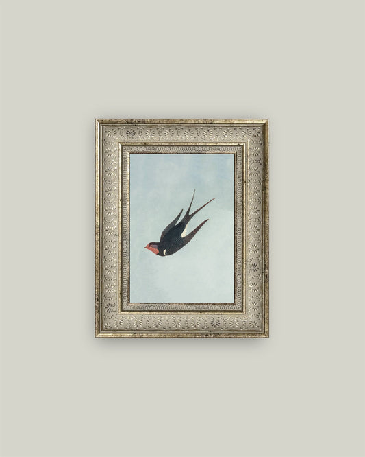 Swallow Boraston