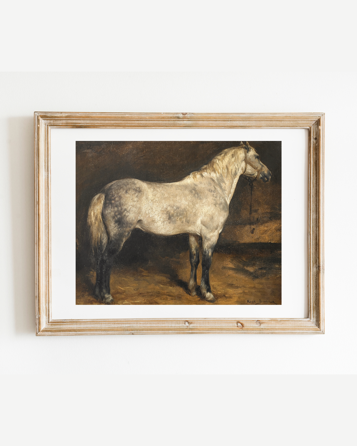 Dapple Grey Horse Antique Art Print