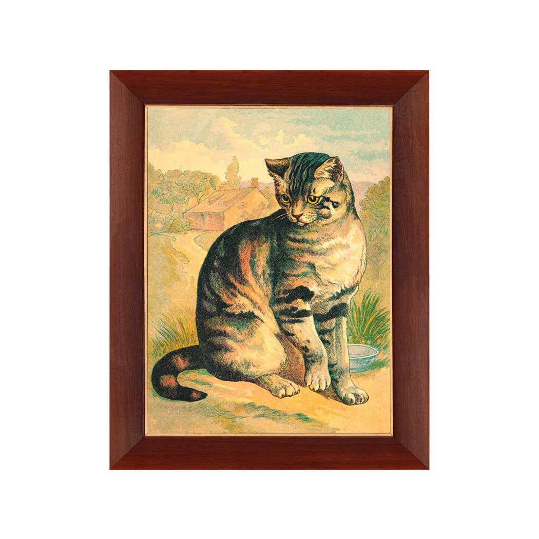 Cat Vintage Children's Book Illustration Vintage Print