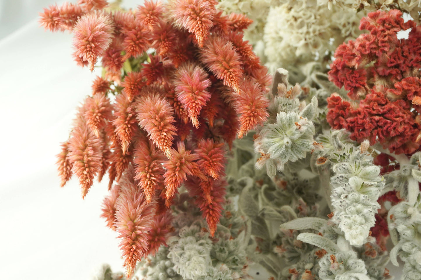 Celosia-Wheat-Terra Cotta