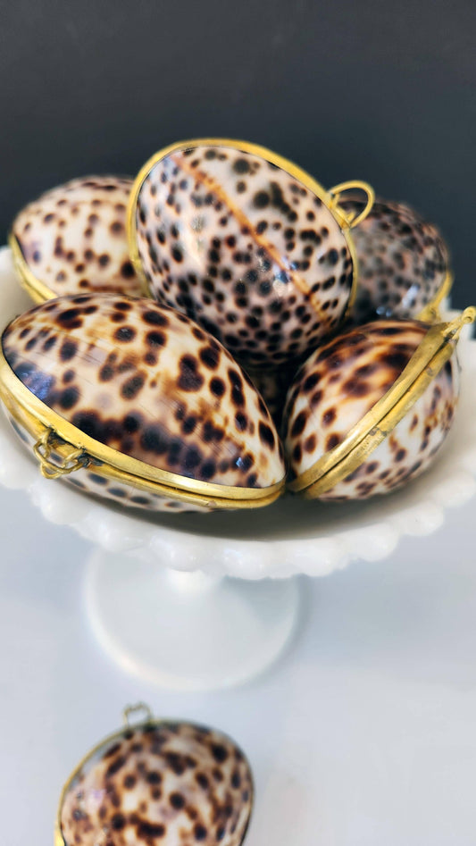 Tiger Cowrie Trinket Pill Box, Coin Purse