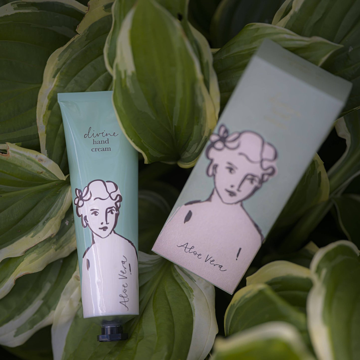 Aloe Vera Divine | Hand Cream