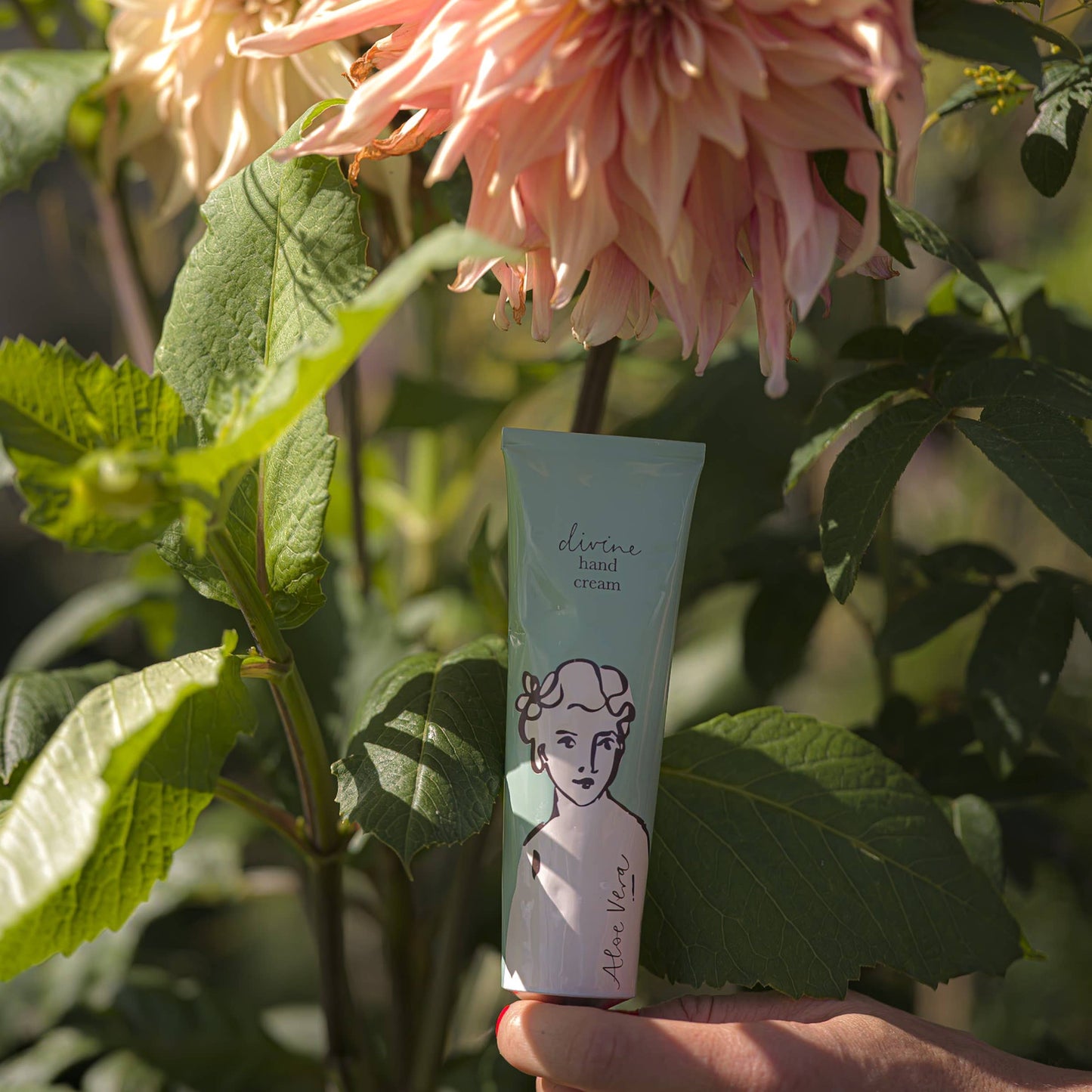 Aloe Vera Divine | Hand Cream
