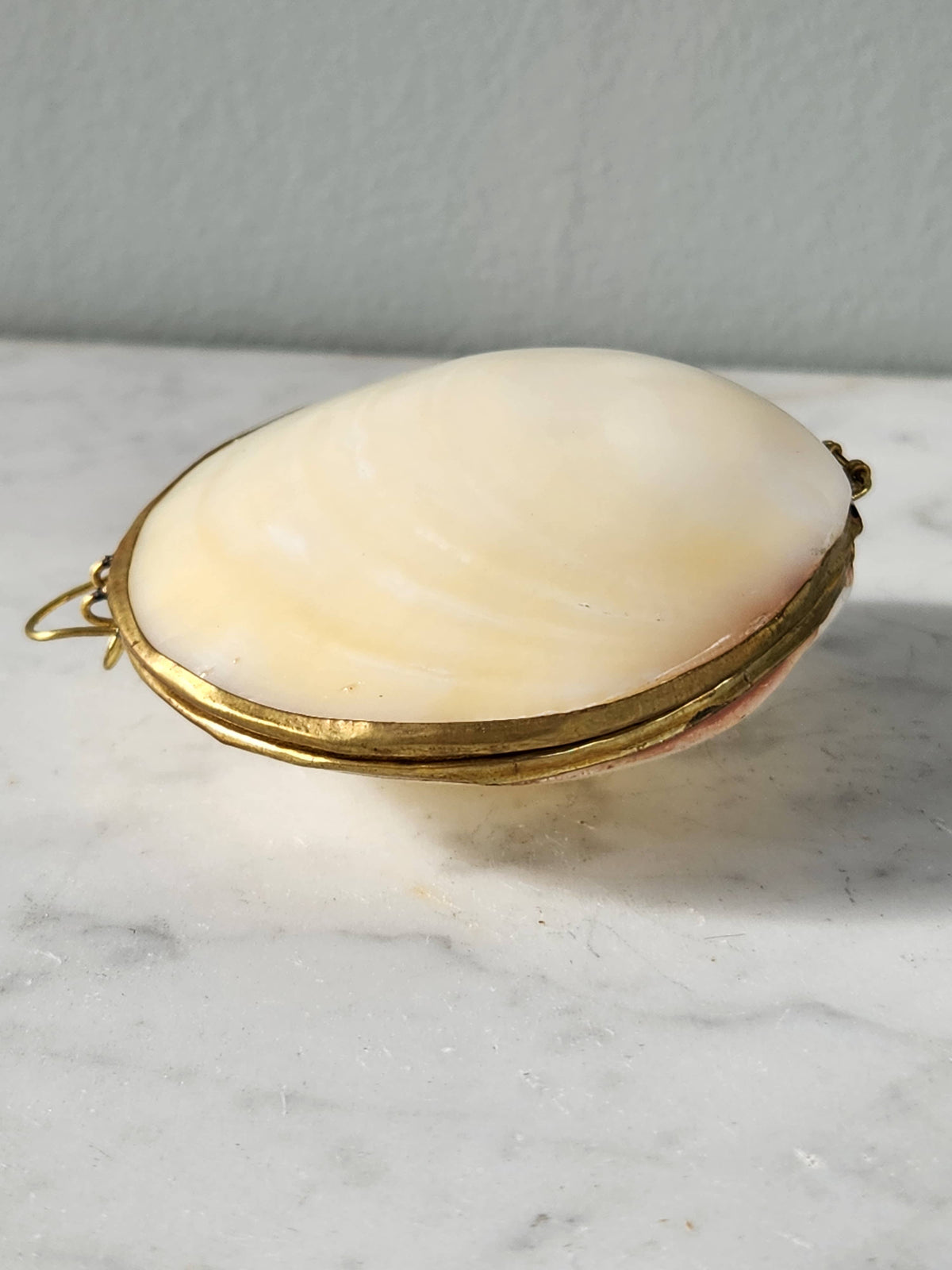 Mini Clam Trinket Pill Box & Coin Purse