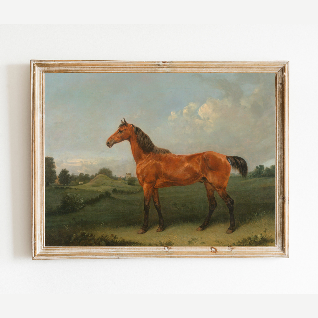 British Bay Horse in a Field Antique Art Print