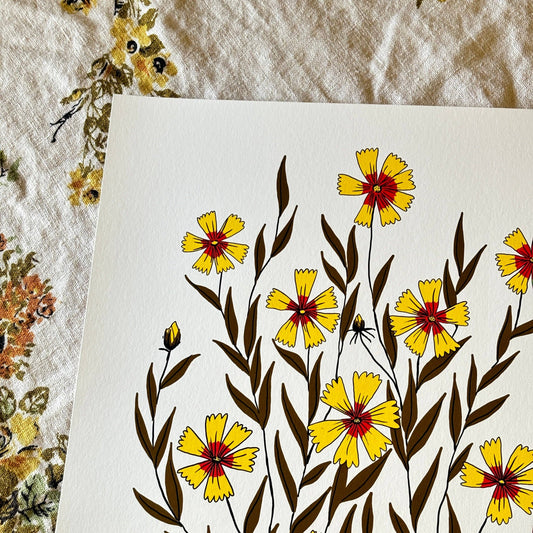 Golden Summer Coreopsis - 14x11 Print