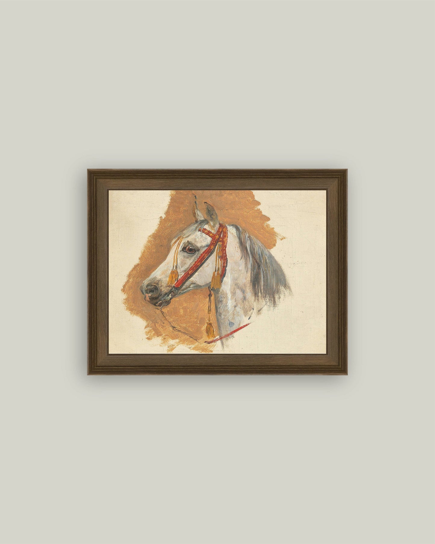 A Horse's Head with Red Bridle