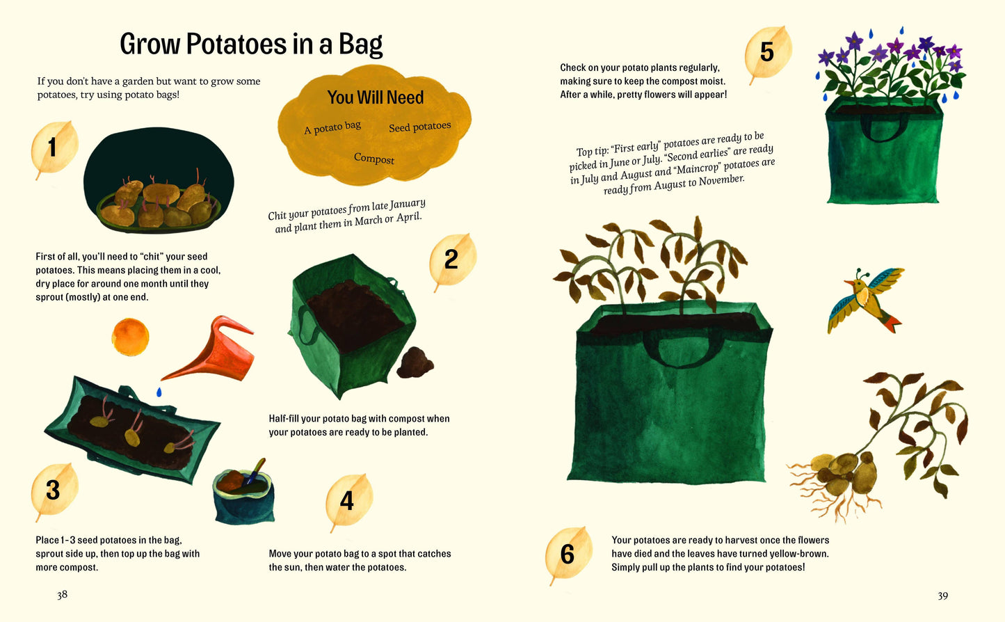 Little Green Fingers – Easy Peasy Gardening Activities