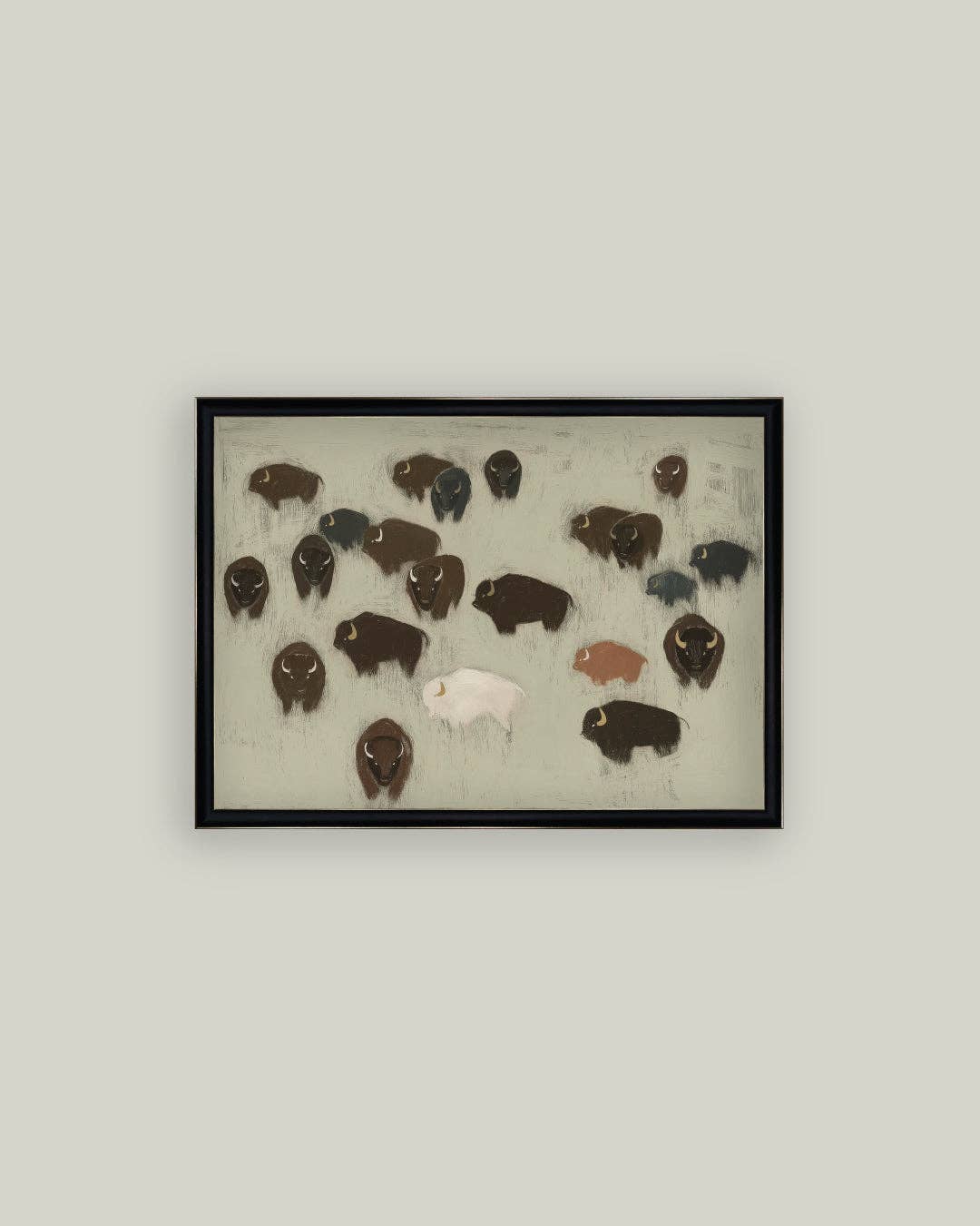 Bison Herd