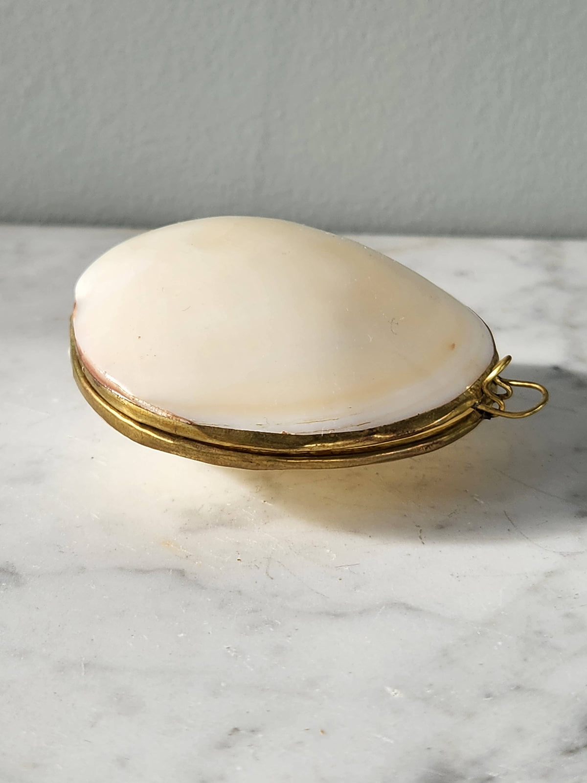 Mini Clam Trinket Pill Box & Coin Purse