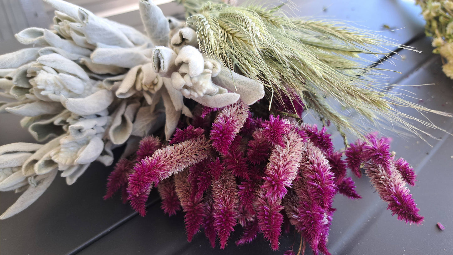 Celosia-Purple Celway