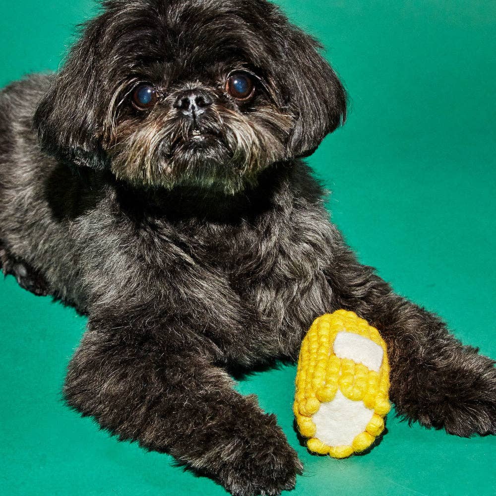Boiled Wool Corn Dog Toy