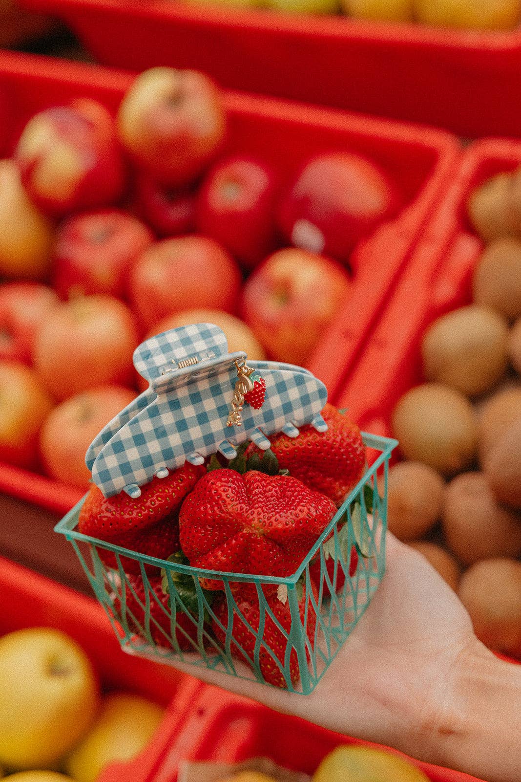 Gingham Claw - Strawberry Charm