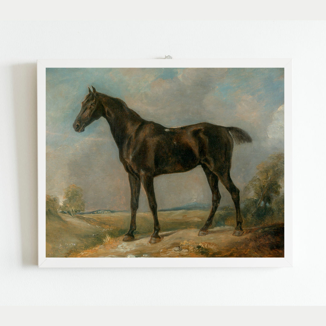 Black Riding Horse Antique Art Print