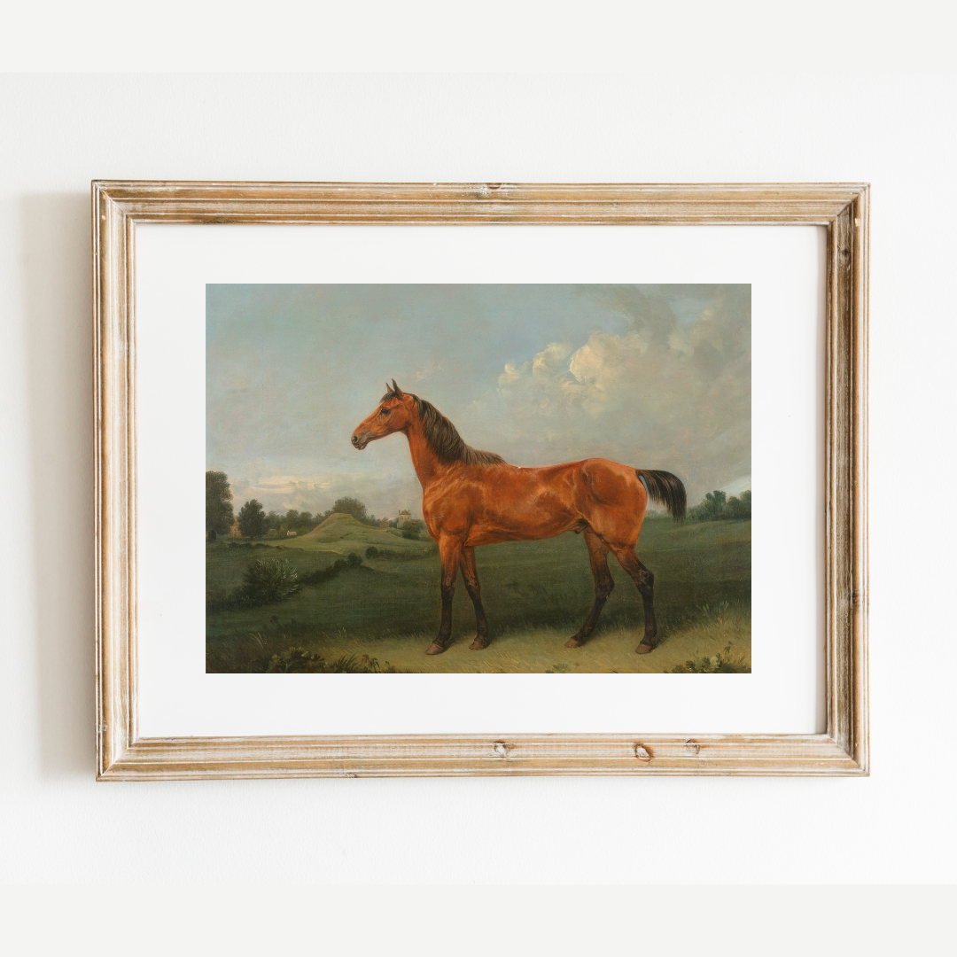 British Bay Horse in a Field Antique Art Print